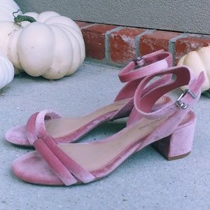 Pink velvet kitten heel